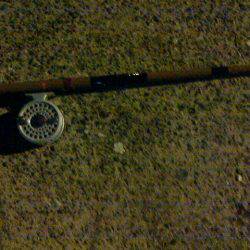 夜の五目釣り？